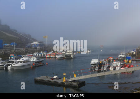 Marina and port facilities at Paamiut Village on the west coast of Greenland. Tendering boats operating from a visiting cruise ship. Stock Photo