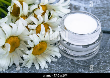 Cosmetic cream in a glass jar stands near chamomile flowers. Stock Photo