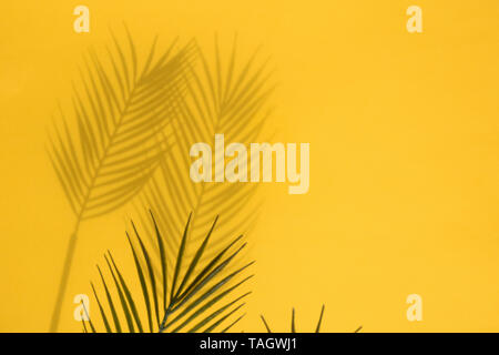 Tropical palm tree leaf shadow on a yellow background. Summertime layout Stock Photo