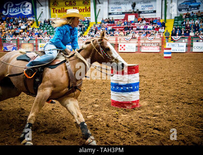 cowgirl competing in barrel run horse riding contest,against the clock,skillful horsemanship and agility required to set the fastest times.Fort worth. Stock Photo