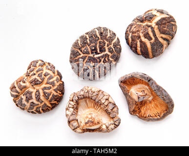 Dried Chinese shiitake mushrooms Stock Photo