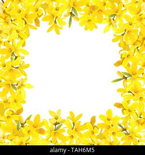 Forsythia suspensa frame. Card template. fluffy blossoming yellow spring tree enclosure. Golden Bell, flowers boxing. Vector illustration. For prints, Stock Vector