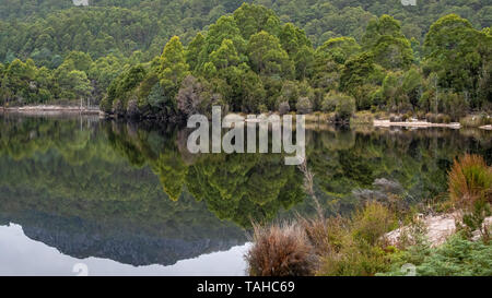 Tree Reflections in Lake Roseberry, Tasmania Stock Photo