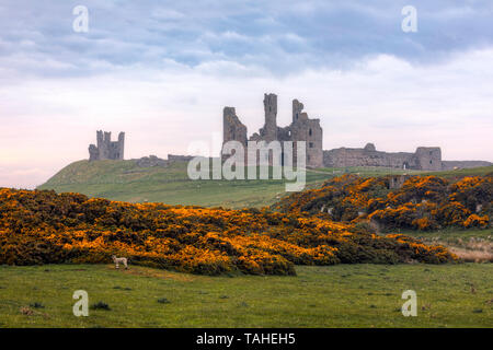 Dunstanburgh Castle, Craster, Northumberland, England, UK, Europe Stock Photo