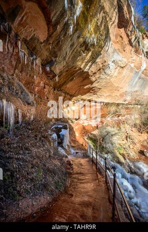 Iced Emerald Pools Trail in Winter, Zion National Park, Utah, USA Stock Photo
