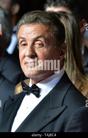 Cannes, Germany. 24th May, 2019. Sylvester Stallone attends the screening of 'Rambo V: Last Blood' during the 72nd annual Cannes Film Festival at Palais des Festivals. | usage worldwide Credit: dpa/Alamy Live News Stock Photo