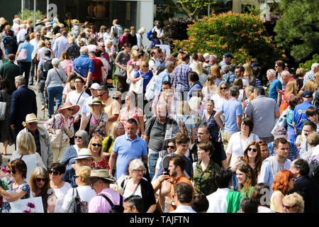 London, UK. 26th May 2019. Large crowd of visitors at the RHS Chelsea Flower Show on the final day of the show. The Royal Horticultural Society Chelsea Flower Show is an annual garden show held in the grounds of the Royal Hospital Chelsea in West London since 1913.  Credit: Dinendra Haria/Alamy Live News Stock Photo