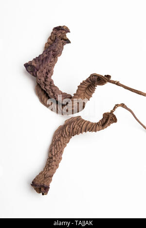 A macro shot of artfully arranged brown dried leaves on a plain white background. Stock Photo