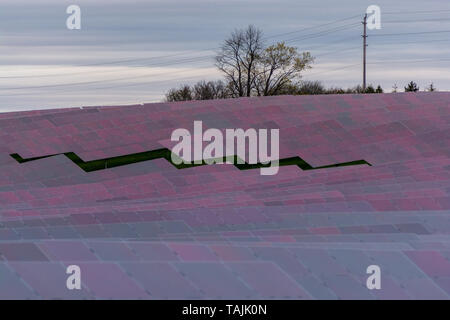 Solar farm featuring array of several solar panels Stock Photo