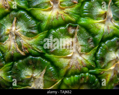 pineapple Stock Photo