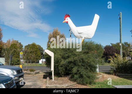 The Big Chook at Moonbi NSW Australia. Stock Photo