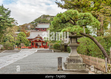 Entrance to Tsurugaoka Hachimangu Shrine, Kamakura, Kanagawa, Japan Stock Photo