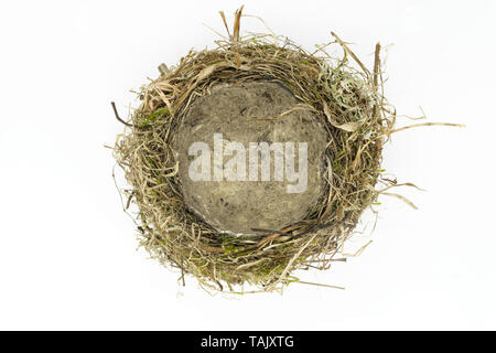 Top view of bird nest made from grass, moss, leaves and branches on white background Stock Photo