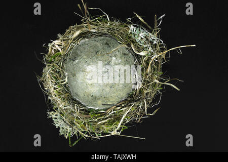 Top view of bird nest made from grass, moss, leaves and branches on black background Stock Photo