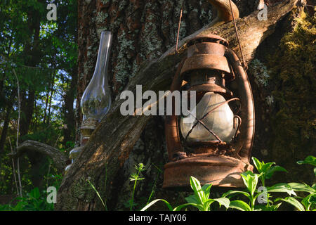 Old, broken and rusty oil lamps hanging near the old tree trunk on branch and illuminated by summer evening sun light beams Stock Photo