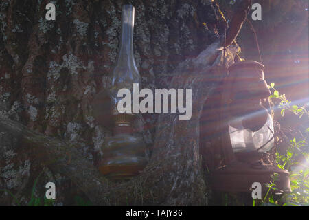 Old, broken and rusty oil lamps hanging near the old tree trunk on branch and illuminated by summer evening sun light beams Stock Photo