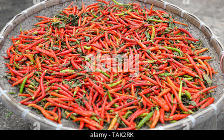 Dried red chili pepper to sun dry chilli on threshing basket background Stock Photo