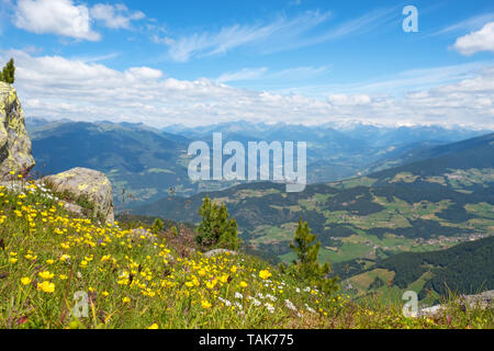 View of the Alps from a flower meadow Stock Photo