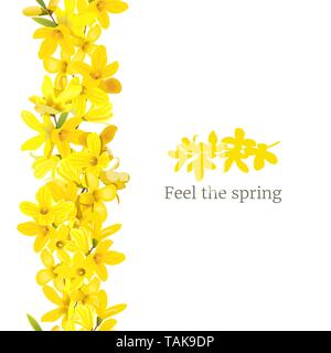 Forsythia suspensa frame left border. Card template. Feel the spring. blossoming yellow spring tree. Golden Bell, flowers boxing. Vector illustration. Stock Vector