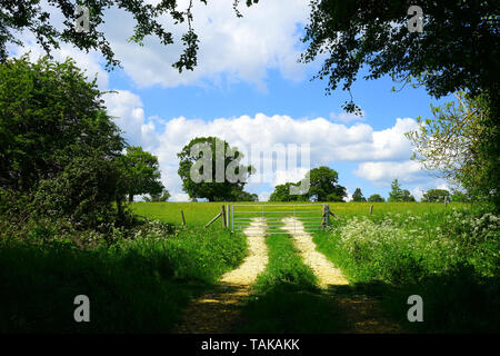 Springtime meadow at Uffington Park, Lincolnshire Stock Photo