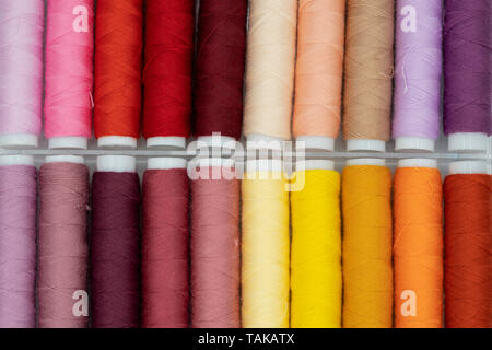 spool of thread many of different colors isolated on white background Stock Photo