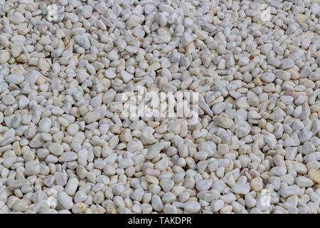 White pebbles background Stock Photo