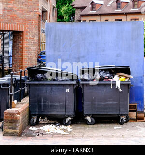 Overflowing commercial waste container full with garbage on Trafalgar ...