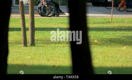 Disabled person riding wheelchair in the park. Green lawn and sunshine, cropped image. Stock Photo