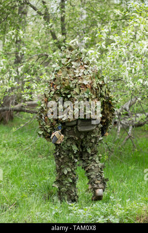 Sniper in green camouflage camouflage clothing in the forest goes back. Army, military, airsoft, hobby, game concept Stock Photo