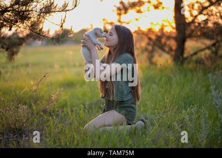 girl holding a labrador puppy and smiling. At sunset on a forest glade in the spring. Friendship, happiness. Stock Photo