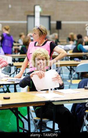 Hereford, UK. 26th May, 2019. Election staff count ballot papers in Hereford as part of the UK wide European Elections - The Hereford votes are part of the West Midlands region and will return 7 MEPs - overall the UK will return 73 MEPs to the European Parliament. Credit: Steven May/Alamy Live News Stock Photo