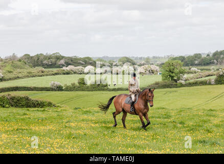 Midleton, Cork, Ireland. 26th May, 2019. Romemary Connors on her lightweight huner Woodfell Extra going for a warmup canter prior to taking part in the Midleton Agricultural Show at Coppingerstown Co. Cork, Ireland. Credit: David Creedon/Alamy Live News Stock Photo