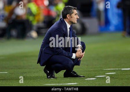 25th May 2019, Estadio Benito VillamarIn, Seville, Spain: Copa del Rey football final, Barcelona FC versus Valencia; Head Coach Ernesto Valverde of FCB tries to lift his team for a fight-back Stock Photo