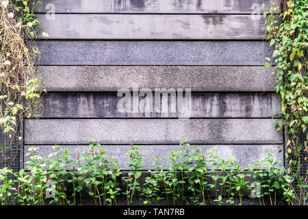 Stone concrete wall surround by plant for background Stock Photo