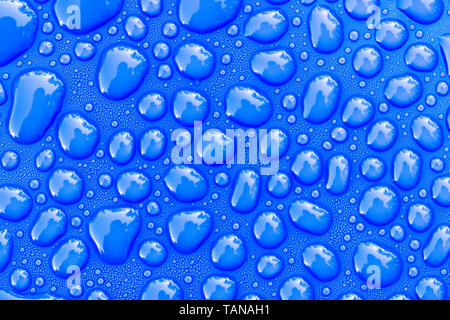 Transparent still water drops on light blue background. Blue water drops. Drops of rain on glass. Blue abstract water drop background. Water surface Stock Photo