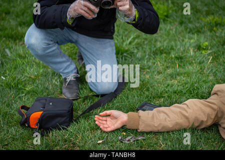 Police detective collecting evidence at crime scene Stock Photo