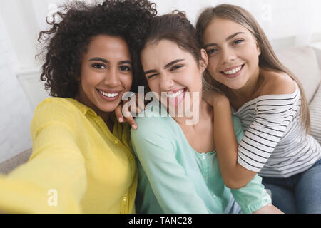 Happy roommates taking selfie, having fun at home Stock Photo