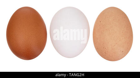 A diversity of eggs. Three chicken, hens eggs isolated on white. Different colors: brown white and speckled. Stock Photo
