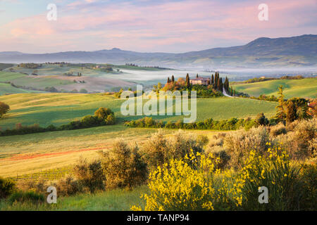 View over misty morning Tuscan landscape with traditional farmhouse and cypress trees, San Quirico d'Orcia, Siena Province, Tuscany, Italy, Europe