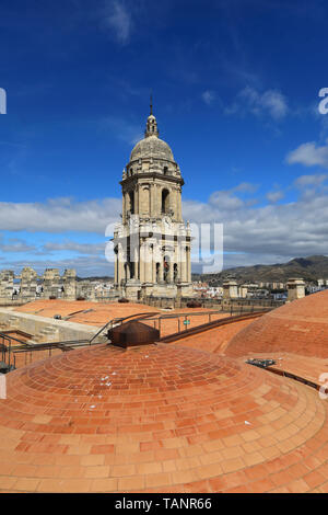 Guided tour to the rooftop or domes of the Cathedral of the Holy Incarnation of Malaga, in the city centre, in Spain, Europe Stock Photo