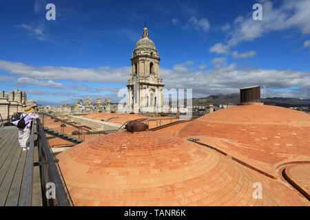 Guided tour to the rooftop or domes of the Cathedral of the Holy Incarnation of Malaga, in the city centre, in Spain, Europe Stock Photo