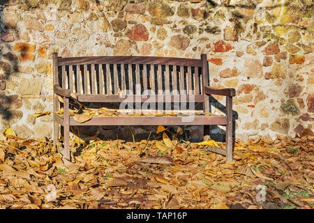 A wooden bench stands at a stone wall in the sun. It's autumn, leaves lying on the ground Stock Photo