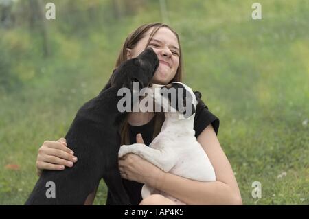 girl and dogs Stock Photo