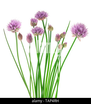 Chives with Flowers isolated on white background Stock Photo