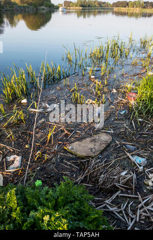 Polluted river. Plastic bottles and other rubbish in reeds and water by the banks of the River Trent, Nottinghamshire, England, UK Stock Photo