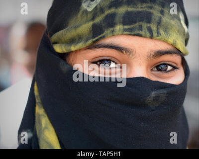 Indian Rajasthani scooter girl with smiling eyes covers her hair and lower face with a secular dust veil. Stock Photo