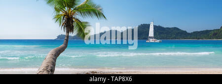 Panorama of sunny beach with palm and a sailing boat in the sea Stock Photo