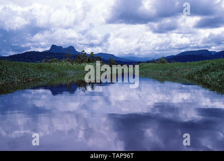 Papua New Guinea. Sepik River scene. Stock Photo