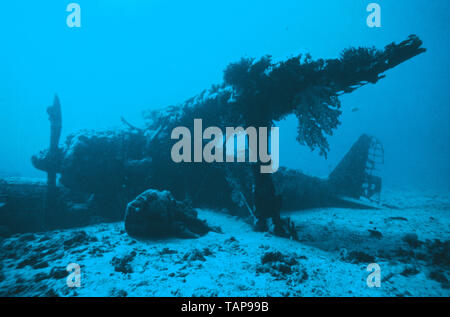 Papua New Guinea. Rabaul.  Underwater view of World War 2 Japanese Mitsubishi F1M floatplane wreckage 'Pete'. Stock Photo