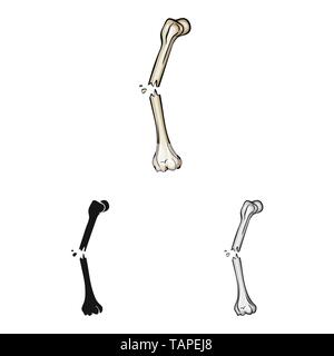 fracture,pain,bias,injury,connective,musculoskeletal,fiber,scientific,muscle,leg,medicine,clinic,biology,medical,bone,skeleton,anatomy,human,organs,set,vector,icon,illustration,isolated,collection,design,element,graphic,sign, Vector Vectors , Stock Vector